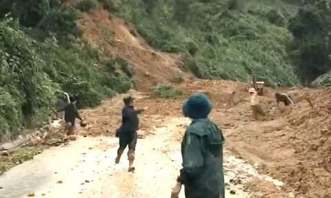 Quảng Nam: Lại sạt lở kinh hoàng